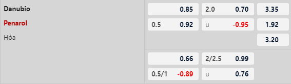 tl-danubio-penarol